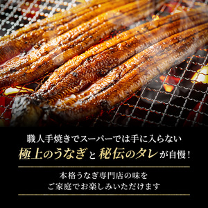 うなぎ 特大 蒲焼き 約230g前後 2尾 うなぎ