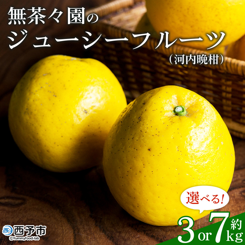 
無茶々園のジューシーフルーツ（河内晩柑）約3kg／7kg　果物 フルーツ 選べる内容量 かわちばんかん みかん ミカン 蜜柑 柑橘 期間限定 季節限定 食べて応援 特産品 愛媛県 西予市 【常温】
