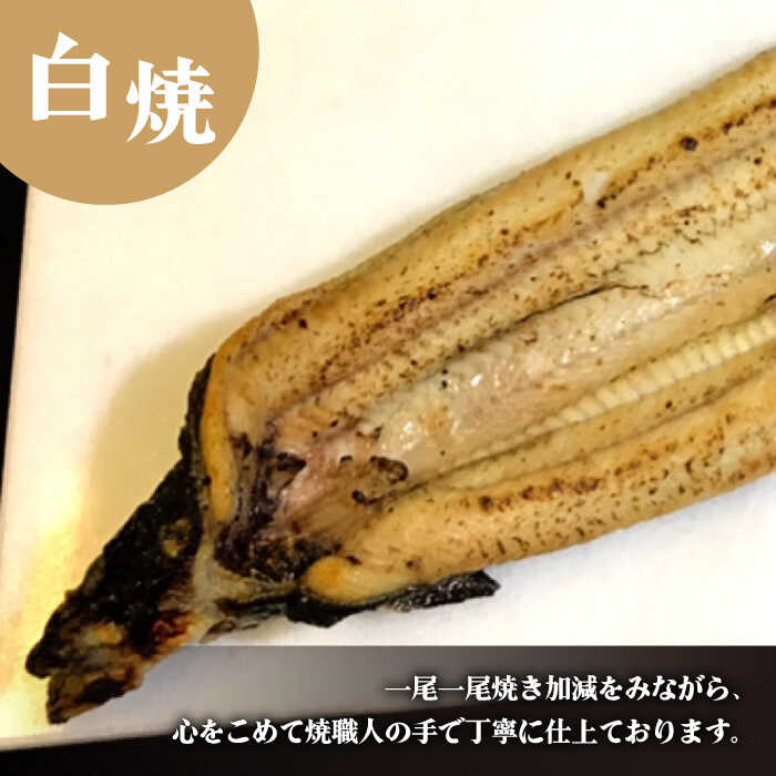 【須川屋台道場】うなぎ 蒲焼 2尾 ・ 白焼き 2尾 セット  / 南島原市 / はなぶさ [SCN009]_イメージ4