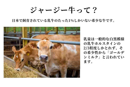 ジャージーバター 100g×5個セット | 無塩 無塩バター 減塩 ジャージー牛 北海道 無添加  [019-53]