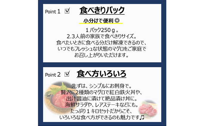 バチマグロ切落し×びん長マグロ中トロ切落し 合計1kg（各250g×2パック）【配送不可：離島】