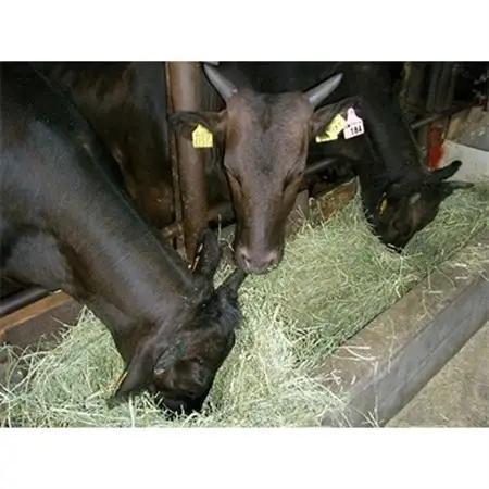上里町産【彩さい牛】サーロイン肉250g(すき焼き用)【配送不可地域：離島】【1098345】