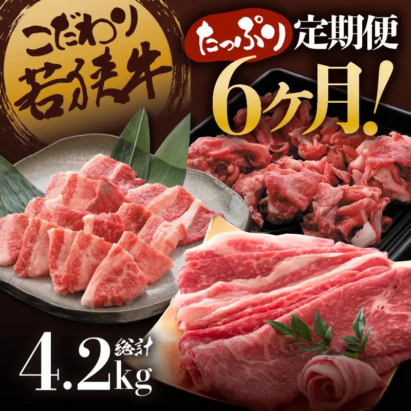 定期便 こだわり若狭牛 全6回 （すき焼き用 / 切り落とし / 焼肉用） 合計4.2kg 【肉 6ヶ月 牛肉 肉 お楽しみ 食べ比べ のし 熨斗 和牛 国産和牛 黒毛和牛 黒毛和種 ブランド牛 ギフト 贈答 BBQ 人気 おすすめ】 [K-2205]
