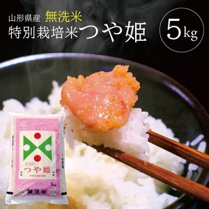 SA2967　令和7年産【無洗米】特別栽培米 つや姫　5kg×1袋 TO
