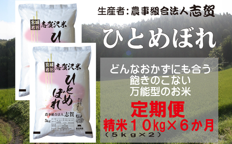 
            【令和7年度産新米】【6ヶ月定期便】宮城県岩沼市産 志賀沢米 ひとめぼれ 精米10kg(5kg×2）  [№5704-0779]
          