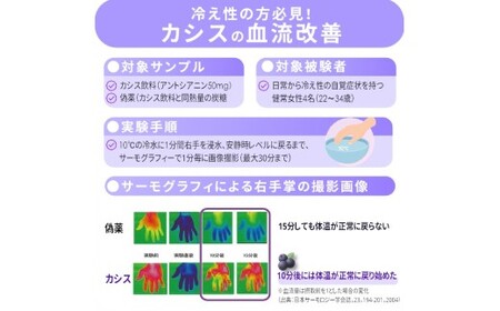 BMP カシスパウダー お試し100g（カシス濃縮果汁粉末）