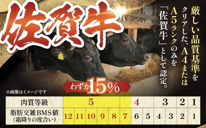 カルビ A5ランク 焼肉 三角ばら 外バラ 中バラ 定期 6回 定期便 牛肉 和牛 黒毛和牛冷凍 佐賀 佐賀県 味付き 6ヶ月