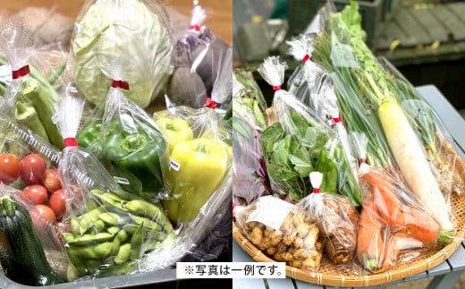 【12回定期便】若松産神田野菜 季節の野菜 詰め合わせ