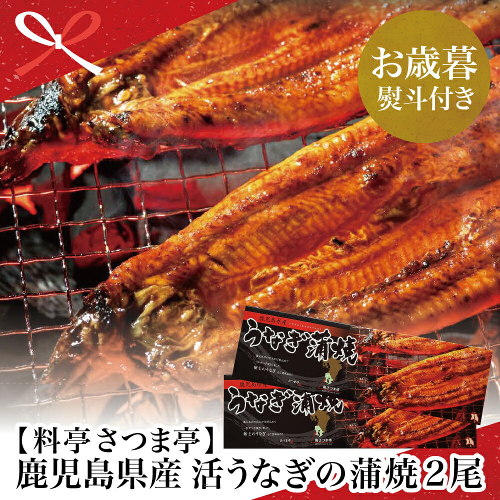 【ふるさと納税】【お歳暮ギフト】鹿児島県産 活うなぎの蒲焼2尾 国産 鰻 ウナギ グルメ うな重 うな丼 蒲焼 かば焼き お取り寄せ 南さつま市 贈り物 冬ギフト 贈答用 送料無料 のし対応 お歳暮熨斗付き