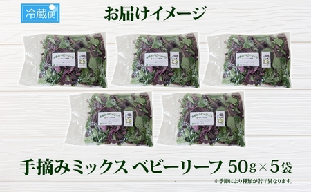 手摘み ミックスベビーリーフ 50g 5袋 ベビーリーフ 野菜 ヤサイ 旬の野菜 葉物野菜 生野菜 ハーブ 緑 彩り 柔らかい 手軽 サラダ サンドイッチ トッピング アクセント はーとふる農園 国産