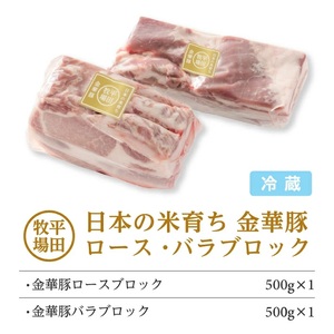 SC0505　【平田牧場】日本の米育ち 金華豚 ブロック肉2種セット　計1kg(ロース、バラ 各500g)