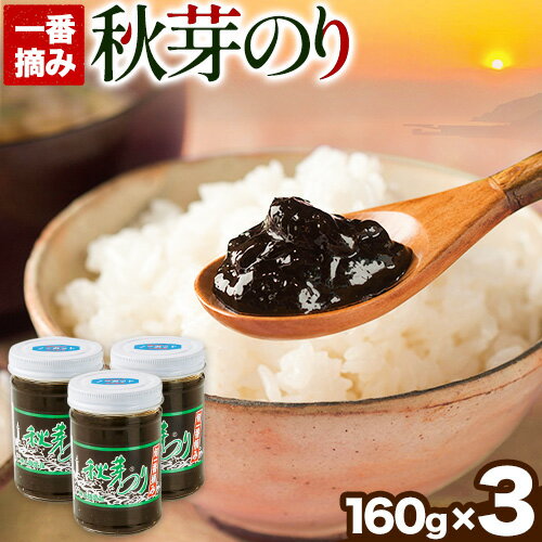 【ふるさと納税】海苔の佃煮 秋芽のり160g×3本 有明海苔 長洲町《60日以内に出荷予定(土日祝除く)》おかず お惣菜 海苔の佃煮 のり佃煮 ご飯のお供 ごはんのおとも