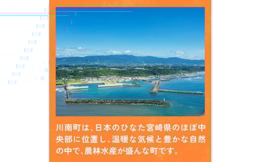 【6ヶ月定期便】1日分の野菜＆青汁（紙パック）48本 【 飲料類 野菜 青汁 野菜 ジュース セット 詰め合わせ 飲みもの 全6回 】