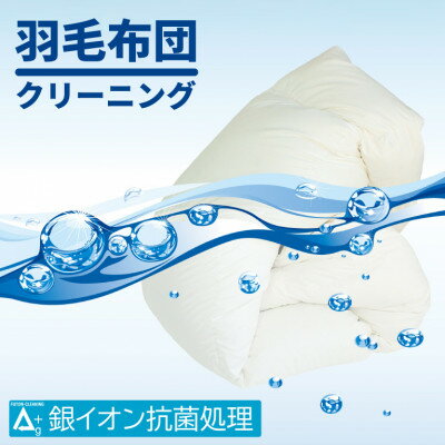 【ふるさと納税】丸八真綿 羽毛布団　ザブザブ丸洗いクリーニング　1枚_ クリーニング 宅配クリーニング チケット サービス 羽毛布団 1枚 羽毛 布団 ふとん 丸洗い 布団丸洗い 丸八真綿 宅配 銀イオン 抗菌処理 シミ抜き 寝具 洗濯 静岡県磐田市 送料無料 【1521291】