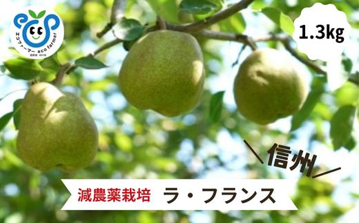 HF40-25A 【信州松川町産】 洋梨ラ・フランス 約1.3kg ／ 10月下旬発送開始予定 / 長野県 南信州  減農薬栽培 なし ナシ 洋梨 ラフランス エコファーマー認証 農家支援 HF