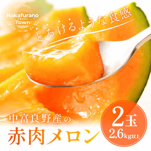 【ふるさと納税】【2025年発送】中富良野　赤肉メロン2玉（計3.2kg以上）