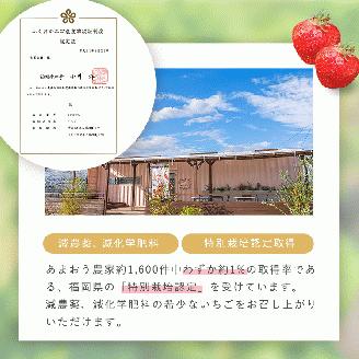 あまおうチーズケーキ_あまおうチーズケーキ 約 380g ケーキ ニュージーランド産 クリームチーズ 濃厚 チーズケーキ 半解凍 冷蔵解凍 レンジ 特別栽培 あまおう農家 久留米市産 いちご あまおう 福岡県 久留米市 お取り寄せ スイーツ デザート お菓子 洋菓子 冷凍 送料無料_Dw039