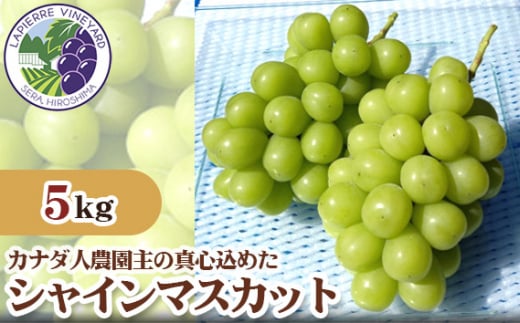 No.263 【カナダ人農園主の真心を込めた】シャインマスカット約5kg ／ 葡萄 ブドウ 果物 フルーツ 広島県 特産品