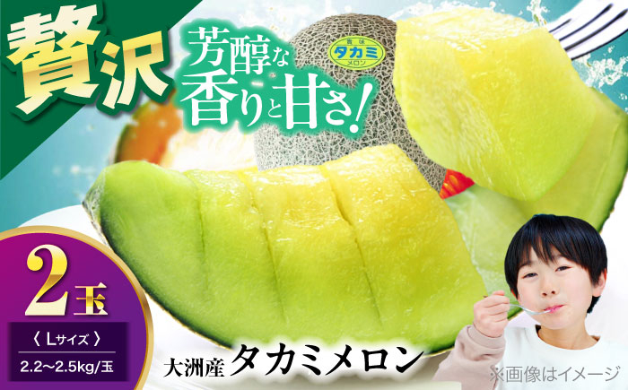 
            【先行予約】【6月下旬から順次発送】 タカミ メロン Lサイズ 2玉入り（2.2kg〜2.5kg/玉） 愛媛県大洲市/にのみや農園 めろん 貴味 果物 フルーツ くだもの 青肉 高級　 [AGDG003]
          