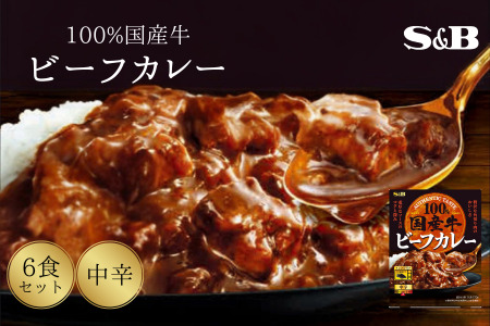 「S&B」国産牛ビーフカレー（中辛）170g×6個  SB ビーフカレー