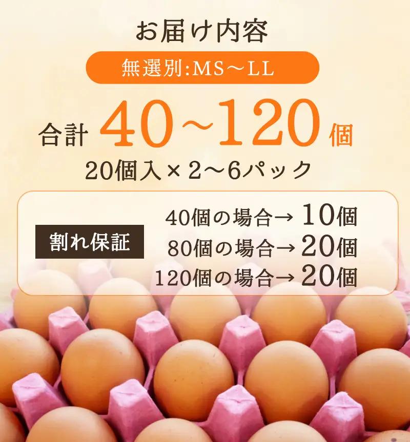卵 赤たまご 40個 卵 【配送不可地域：北海道、沖縄、離島】