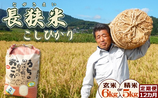 【令和８年産 新米 先行予約】ちばエコ農産物『長狭米 コシヒカリ（一等米）』定期便12カ月【精米５kg】《９月中旬より発送開始》《数量限定》減農薬 減化学肥料 農家直送 玄米 白米 熟成精米 [田代農園][0180-0005]