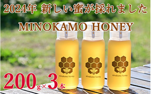 MINOKAMO HONEY はちみつ （ 200g × 3本 ）| 藤井養蜂 蜂蜜 非加熱 百花蜜 国産 たれにくい M15S48