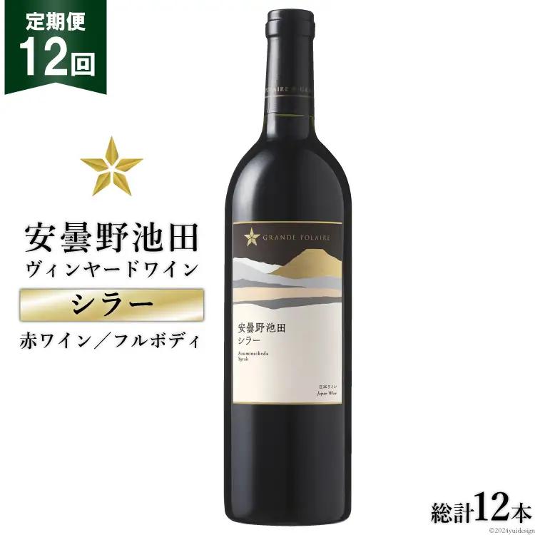 定期便 12回 赤ワイン サッポロ グランポレール 安曇野池田ヴィンヤード「シラー」750ml 総計 12本