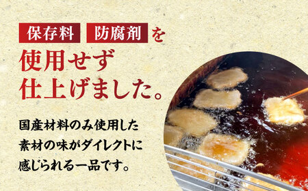 ＼レビューキャンペーン中／国産の材料のみ使用！ガツンとくる素材のうまみ！自然が育む正統派じゃこてんとやさい天 20枚セット　愛媛県大洲市/じゃこてんや下坂[AGAG001]じゃこてんじゃこ天おかずじゃ