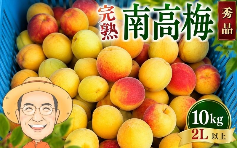 
                  【秀品】完熟 南高梅 約10kg (＋補償100g) 2L以上 カキエモン農園 【2027年6月中旬～6月下旬頃順次発送】 和歌山産 梅干し 梅酒 梅シロップ 果実 うめ 梅 ウメ カキエモン 農園 送料無料 なんこううめ なんこうばい なんこう梅 加工用 家庭用 紀州【BX-kkem017A】
                