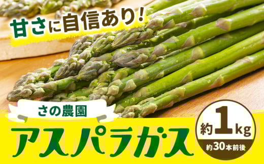 アスパラガス 約 1kg 約 30本 M-2L 野菜 さの農園 岡山県産《4月上旬-10月中旬頃出荷》サラダ アスパラ アスパラベーコン 岡山県 矢掛町