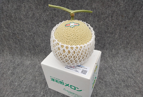 メロンパークのメロン【2024年9月発送・2Lサイズ1玉】