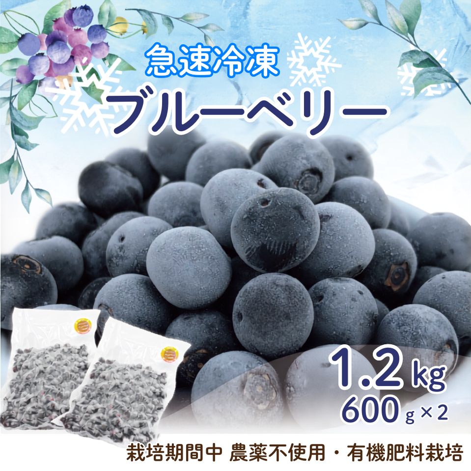 【ふるさと納税】急速冷凍！ 栽培期間中 農薬不使用 ブルーベリー 600g×2パック 計1.2kg 冷凍ブルーベリー 冷凍フルーツ 果物 くだもの 福岡県産 国産 送料無料 [Z4005]
