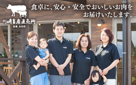 黒毛和牛 焼肉用　400g　【川崎畜産】[IAX073]