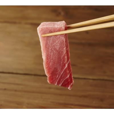 ふるさと納税 三浦市 天然本鮪　上脂トロサク　アイルランド産(1柵) |  | 01