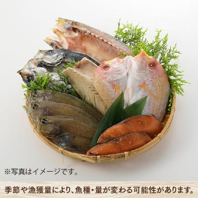 ふるさと納税 新宮町 進藤商店一夜干しセット.AD169 |  | 03