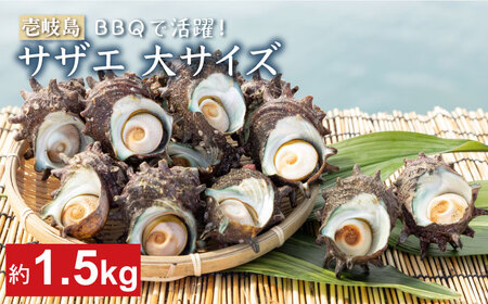 壱岐島 サザエ（大） 合計約1.5kg 《壱岐市》【マルショウ水産】[JBB004] 17000 17000円 お刺身 産地直送 冷蔵配送 サザエ さざえ 栄螺 つぼ焼き 冷蔵 生 刺身 BBQ 九州