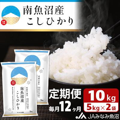 ふるさと納税 南魚沼市 【毎月定期便】南魚沼産こしひかり 精米 10kg(5kg×2袋) 全12回