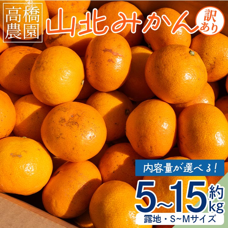 【ふるさと納税】【内容量が選べる】家庭用 山北みかん（露地・S〜Mサイズ）約5kg/約10kg/約15kg - 送料無料 露地栽培 柑橘 果物 フルーツ ミカン 蜜柑 期間限定 季節限定 家庭用 高橋農園 国産 特産品 高知県 香南市【常温】Rth-0013
