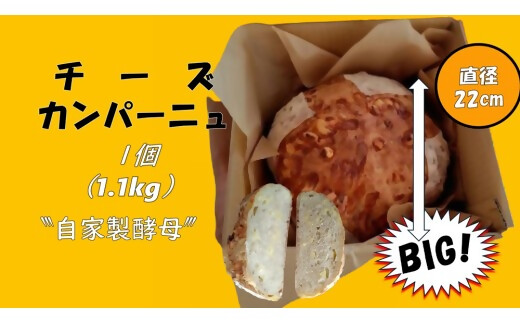 自家製天然酵母を使ったチーズカンパーニュ　【HTR-02】