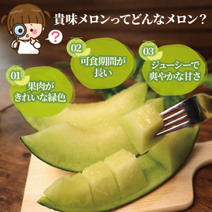 【2026年 先行予約 】贈答用 貴味メロン 青肉 4玉 メロン メロン メロン メロン メロン メロン メロン メロン