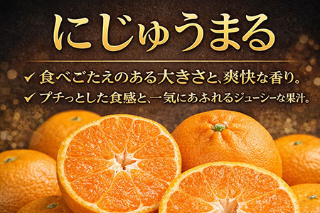 『先行予約』【令和8年3月上旬より順次発送】◎にじゅうまる◎ 5kg 佐賀県産【高級柑橘みかん】果物フルーツ 柑橘