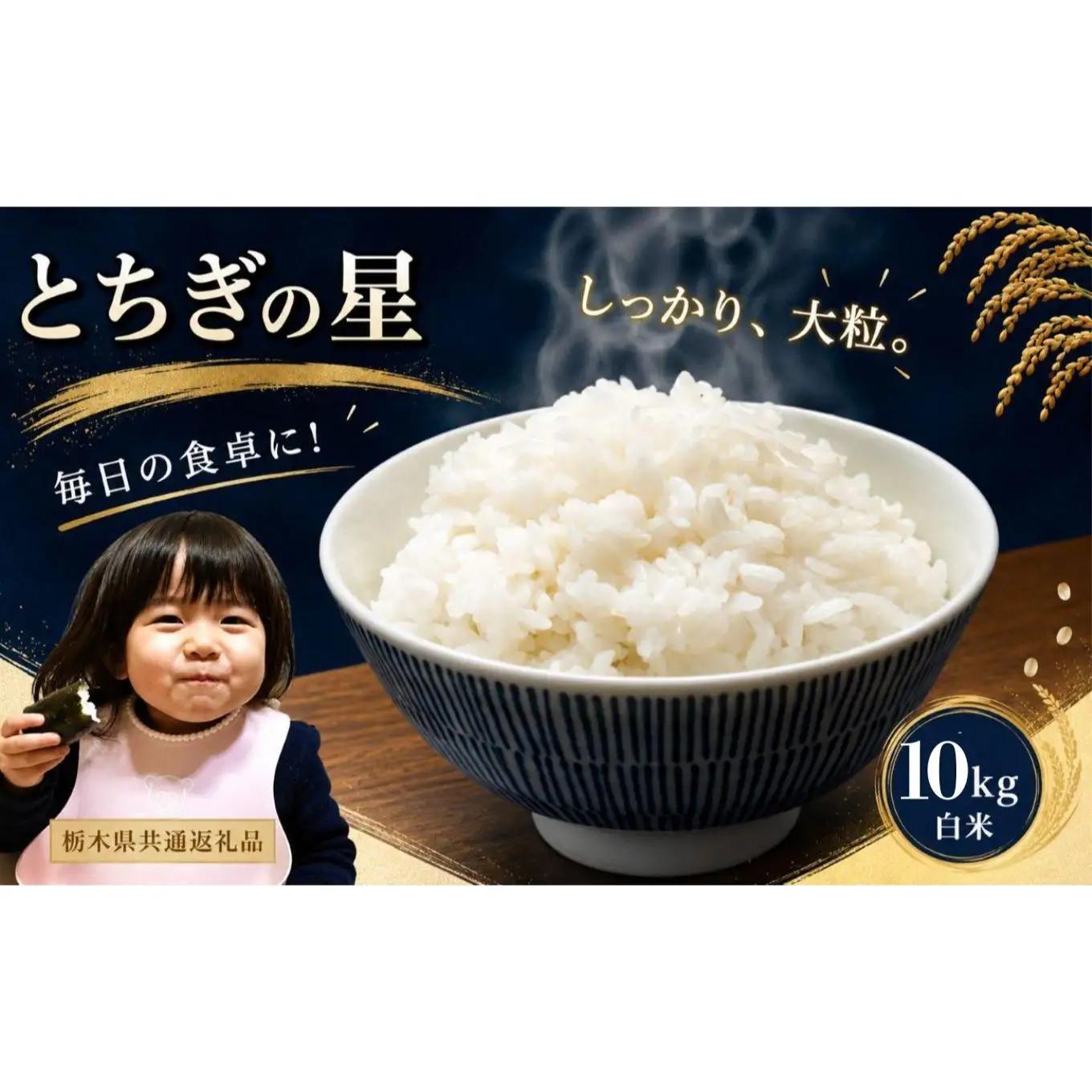 お米 令和8年産 とちぎの星 白米 10kg【2026年 先行予約】 | 栃木県共通返礼品