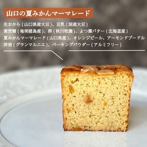 パウンドケーキ 3種 セット 9個 カット 冷蔵 KF005-2