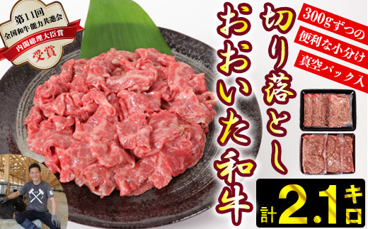 
            おおいた和牛切り落とし2.1kg（300g×7p） ※真空パック 【匠牧場】 牛肉 切り落とし すき焼き 牛 小分け 和牛 おすすめ 国産 おおいた和牛 バーベキュー 生産者応援の品 母の日 父の日 ＜102-003_5＞
          