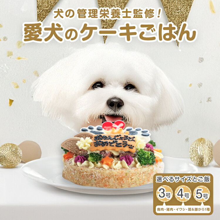 【ふるさと納税】犬用バースデーケーキ 選べるサイズ ごはん 3号サイズ 直径9cm 4号サイズ 直径12cm 5号サイズ 直径15cm ごはんタイプ 鹿肉 猪肉 イワシ 鶏ミンチ＆豚モモ BUN'S KITCHEN 送料無料 犬用ケーキ 誕生日ケーキ