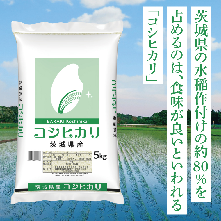 【茨城県共通返礼品】令和7年産 茨城県産 コシヒカリ15kg（5kg×3袋）【お米 米 こしひかり ごはん 茨城県】（03-50-1）