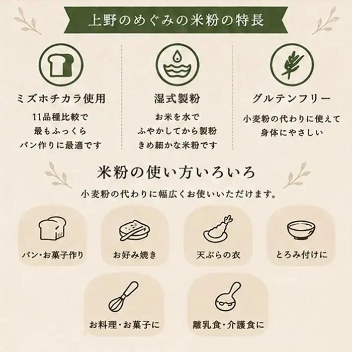 ミズホチカラ米粉 3kg 農薬・肥料不使用 自然農法 リトリートかるむ