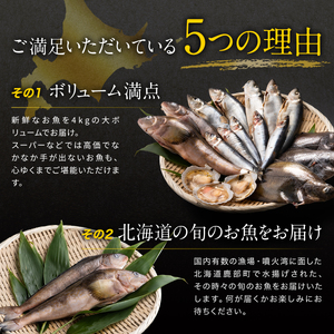 【2024年8月下旬発送】【緊急支援品】北海道 冷凍鮮魚セット 最大4kg 「漁師応援プロジェクト！」 下処理済み 冷凍 鮮魚 海鮮 海産 地元 ホタテ 事業者支援 中国禁輸措置