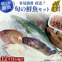 【ふるさと納税】【定期便12ヶ月 】天然のいけす 富山湾 氷見漁港 旬の鮮魚セット 直送 詰め合わせ 鮮魚ボックス 富山県 氷見市